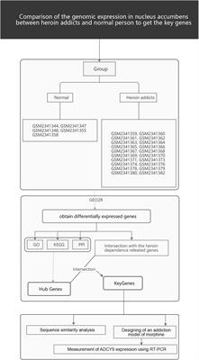 Identification and Characterization of Biomarkers and Their Role in Opioid Addiction by Integrated Bioinformatics Analysis